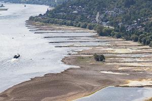 Wegen niedriger Pegelstände ist die Binnenschifffahrt in vielen Flüssen wie hier im Rhein derzeit massiv eingeschränkt.