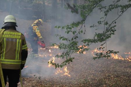  Mehrere Hundert Hektar Waldfläche stehen in Flammen.