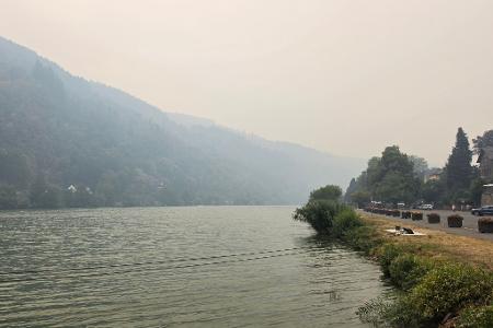 Die starke Rauchentwicklung ist auch in Rheinland-Pfalz zu sehen. 