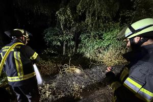 Vegetationsbrand in Werne-Holthausen.