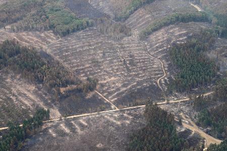 Die Aufnahme aus einem Flugzeug zeigt das Waldbrandgebiet im Hürtgenwald.
