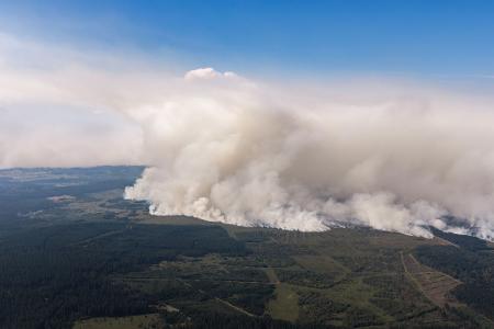 Der Waldbrand im belgischen Moorgebiet.