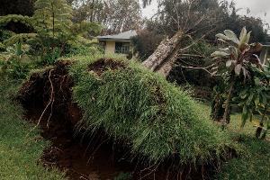 Hurrikan "Lala" hat auf Hawaiis größter Insel Big Island schwere Schäden hinterlassen.