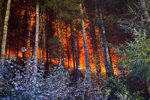 In mehreren Regionen kämpfen Feuerwehrleute gegen Flammen. 