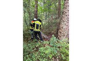 Die Feuerwehr bei den Löscharbeiten