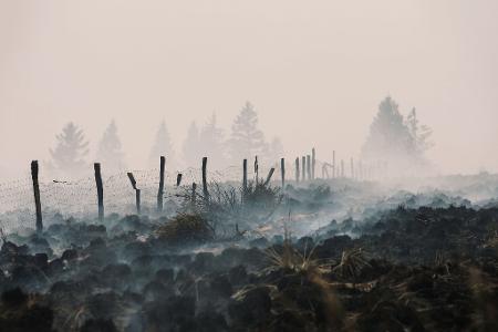 Der Flächenbrand im Hohen Venn hat große Schäden angerichtet.