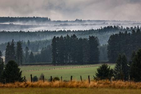 Regen hilft, auffrischender Wind ist ungünstig. 