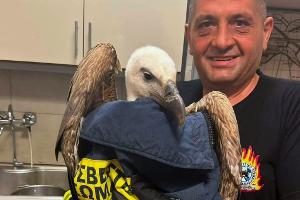 So einen Flieger hat Flughafen-Feuerwehrmann Antonis Petrakis noch nie aus der Nähe gesehen.
