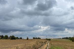Dunkle Wolken und Gewitter ziehen nach der Vorhersage des Deutschen Wetterdiensts aus Westen heran. (Archivbild) 