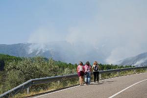 Rund 2.200 Hektar Pinienwald wurden verwüstet.