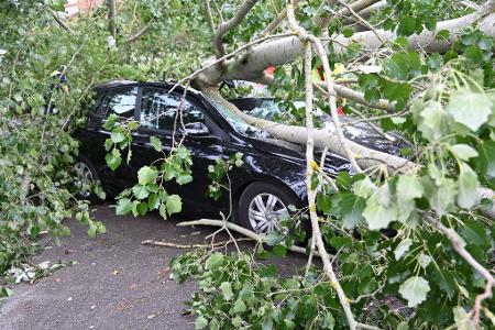 Schaden entstanden auch durch umgestürzte Bäume, die auf Autos fielen.