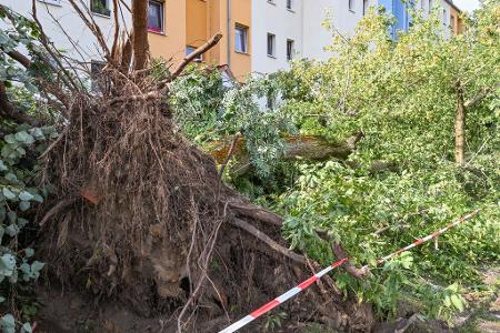 Am Tag danach ist in Fürstenwalde Aufräumen angesagt.