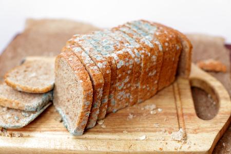 Brot und Saaten