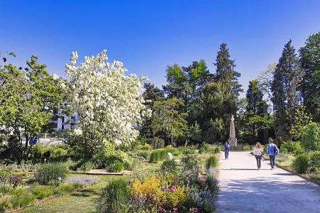 Park, Lothringen, Frankreich, Stellplatz, Metz, Nancy