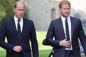 Bruderstreit im Königshaus: Briten sehen klar Prinz Harry am Zug