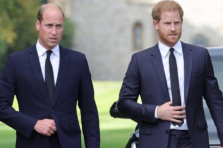 Bruderstreit im Königshaus: Briten sehen klar Prinz Harry am Zug