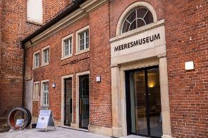 Rund vier Monate nach der Bergung des vor der Ostseeküste geborgenen Buckelwals "Timmy" sieht sich das Deutsche Meeresmuseum in Stralsund immer noch Anfeindungen ausgesetzt. (Archivbild)