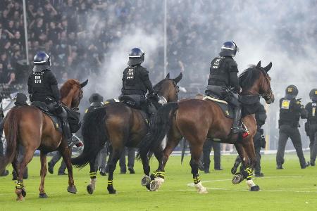 Polizeipferde bei Krawall-Derby: PETA erstattet Anzeige
