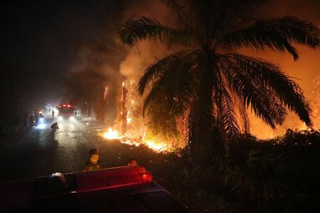 Ein Waldbrand breitet sich in einem Torfmoorgebiet auf Borneo in Indonesien aus.
