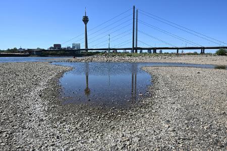 Das Niedrigwasser im Rhein bremst die deutsche Wirtschaft. (Archivbild)