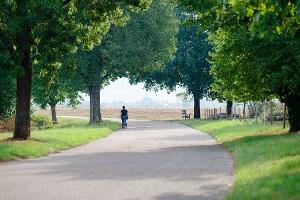 Neben Schauern gibt es am Wochenende auch längere sonnige Abschnitte.  