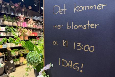 Nachschub ist unterwegs: Noch heute kommen neue Blumen im Laden an.