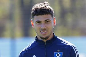 Darmstadt holt vereinslosen Mikelbrencis