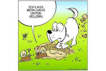 NEUEZEITEN