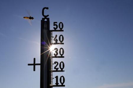 Im Sommer gab es teils Temperaturen über 40 Grad. (Symbolbild)