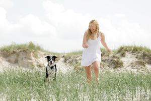 Zu heiß, zu voll: Welche Reisen Hunde stark belasten