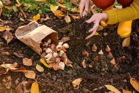 Gut beschäftigt auch im Herbst