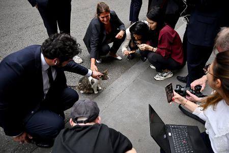 London: Chef-Mäusefänger im Rampenlicht – Journalisten knuddeln Kater Larry nach Macron-Burnham-Treffen