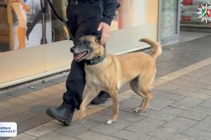 Foto: Polizei Oberhausen