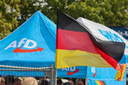 Die AfD liegt in den Umfragen vor der Wahl in Sachsen-Anhalt klar vorn. (Archivbild)