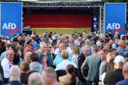 AfD in Sachsen-Anhalt: 