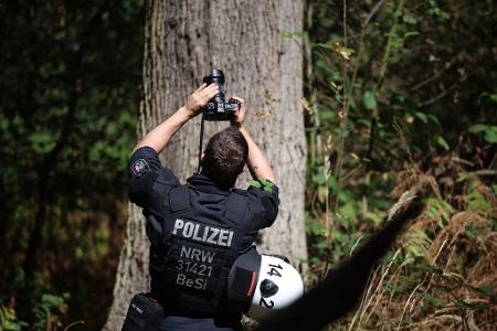 Mögliche Verstecke auf Bäumen werden geprüft.