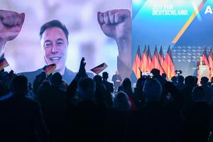 Auch Tech-Milliardär Elon Musk gratulierte der AfD. (Archivbild)
