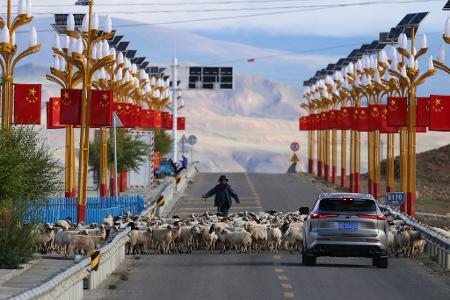 Shigatse (Tibet): Kurzer Stopp auf der Straße – Hirte lotst Schafherde zur Seite