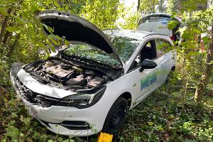 Der Opel landete nach dem Unfall in einem Gebüsch.