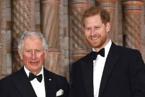 Prinz Harry und König Charles: Telefonat trotz Familienkrise