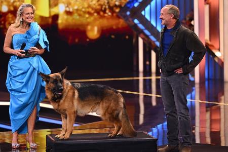 Maximilian Brückner: Vom Fernsehpreis zum 