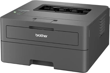 Für Gelegenheitsdrucker geeignet: Brother HL-L2400DW