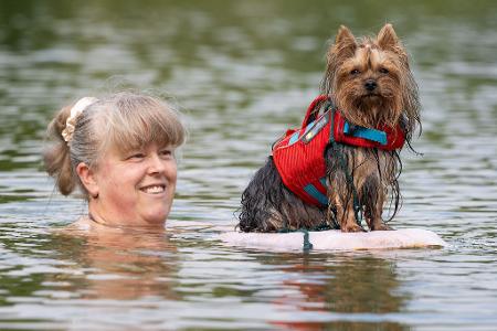Gemeinsamer Badespaß beim Hundebadetag im Naturbad in Dresden-Mockritz.