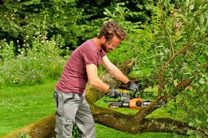 Gartenarbeit im Herbst: Warum die Reihenfolge zählt
