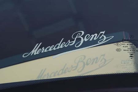 Mercedes Actros 