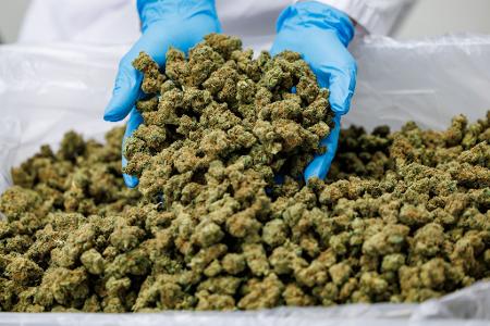Importe von Medizinal-Cannabis steigen stark. (Archivbild)
