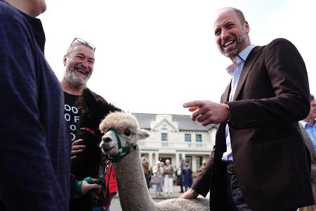 Prinz William trifft Alpakas während Harry Geburtstag hat
