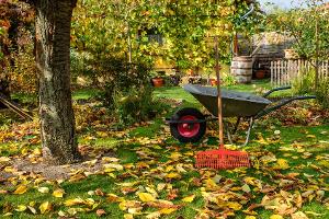 Diese Gartenarbeiten sollte man Mitte September noch erledigen
