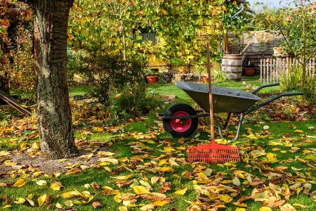 Diese Gartenarbeiten sollte man Mitte September noch erledigen