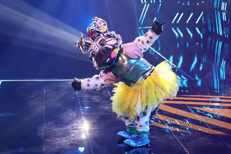 Das Zebra, Staffel sechs